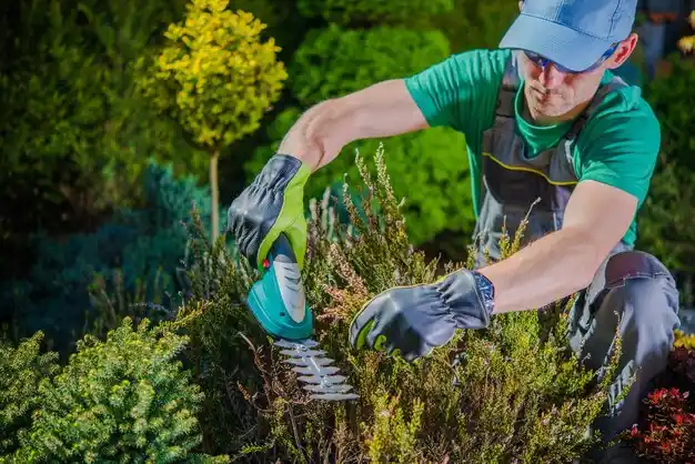 landscaping services South Monroe
